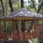 asphalt shingles