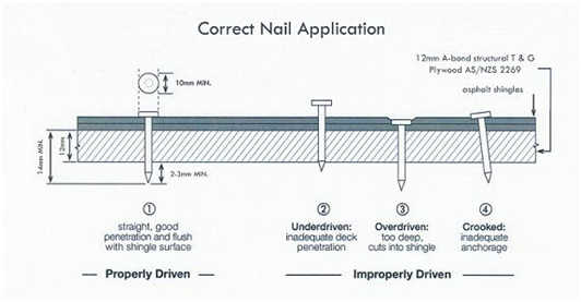 Correct nail installation - Galvanised oversized clout nails driven flush