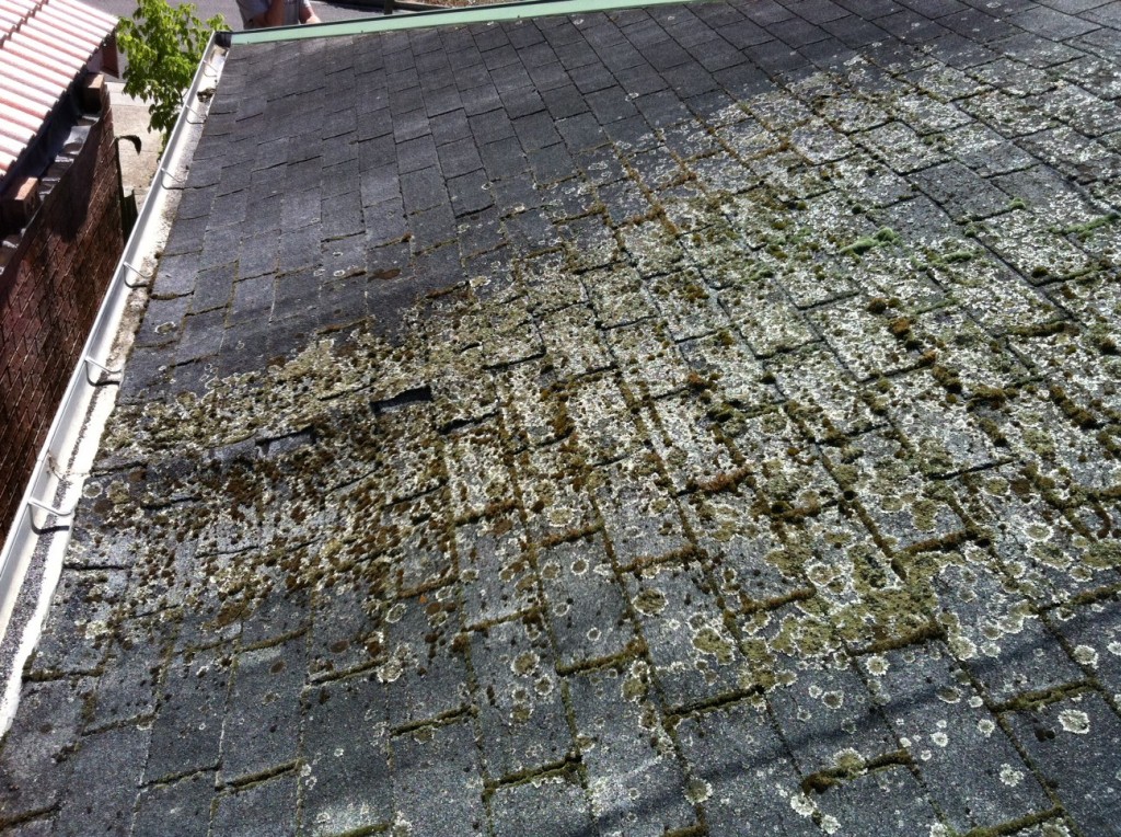 No ventilation of moisture trapped in roof space How not to install shingles